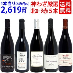 プレミアムセット 神わざ！作り手厳選北ローヌ赤５本セット ワイン ワインセット 送料無料 大人気 飲み比べセット ギフト ^W0RK04SE^