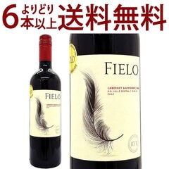金賞 よりどり6本で送料無料 2024 フィエロ カベルネ ソーヴィニヨン 750ml ボデガス タグア タグア チリ 赤ワイン コク辛口 ワイン ^OATGCB24^