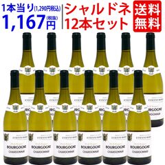 【12本セット 送料無料】 2020 ブルゴーニュ シャルドネ ブラン 750ml×12本 ロディエ 白ワイン コク辛口 大人気 ^B0TRCHK9^