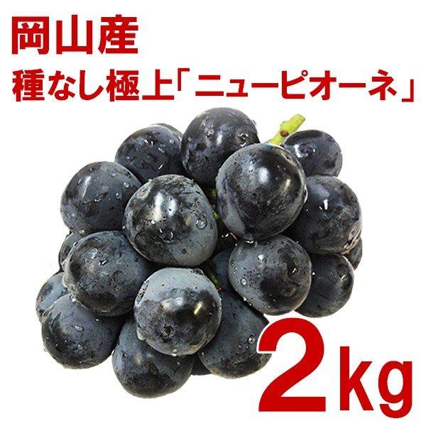 ご注文より１４日以内に発送 <br>送料無料 岡山産・種なし「ニューピオーネ」極上秀品 2kg ３～５房 箱入り 数量限定 岡山県新見市哲多産 草月葡萄園 ^YYNP01B2^