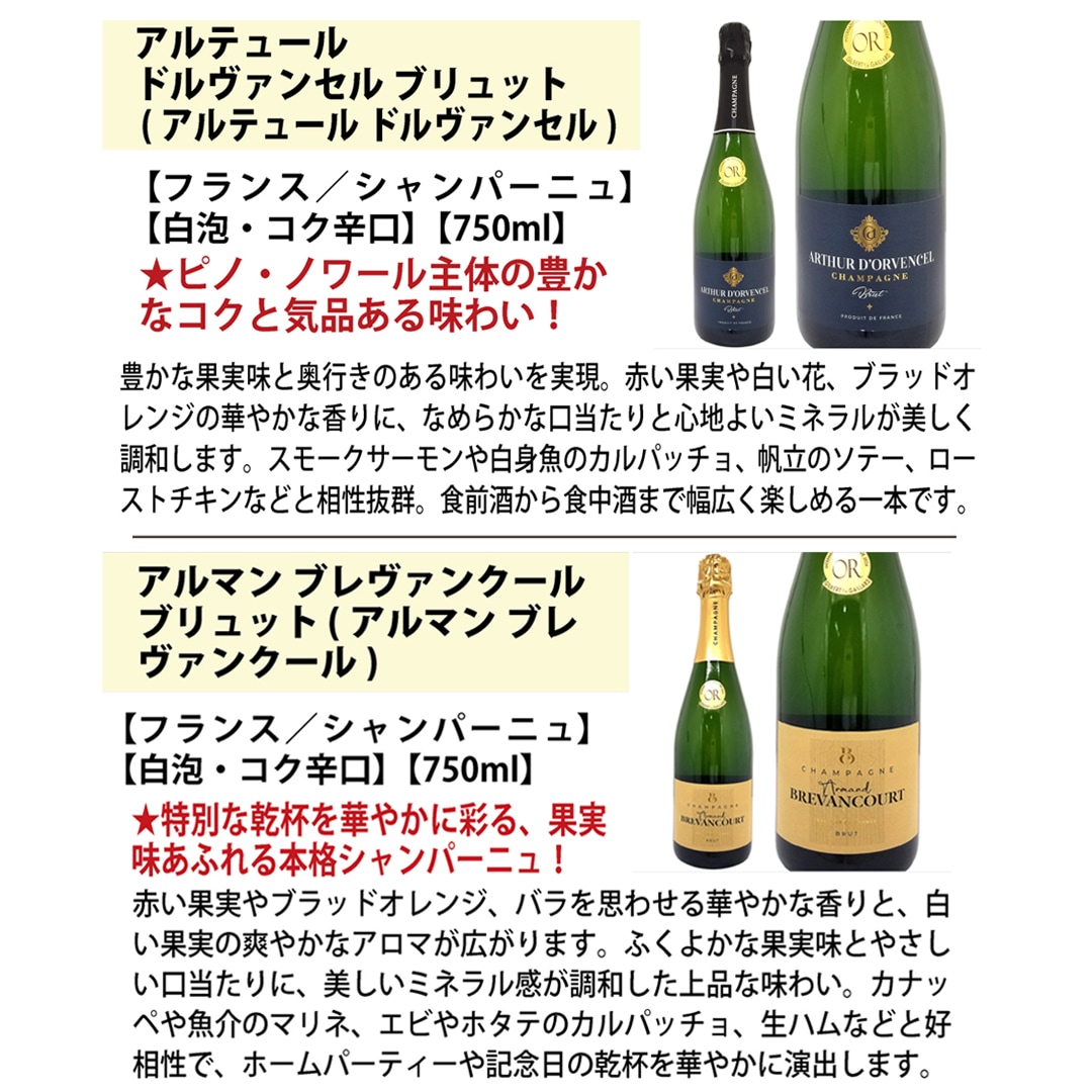 ワイン ワインセット 極上直輸入 超豪華シャンパン（フランス シャンパーニュ産）9本セット 大人気 送料無料 飲み比べセット ギフト ^W0CQ10SE^