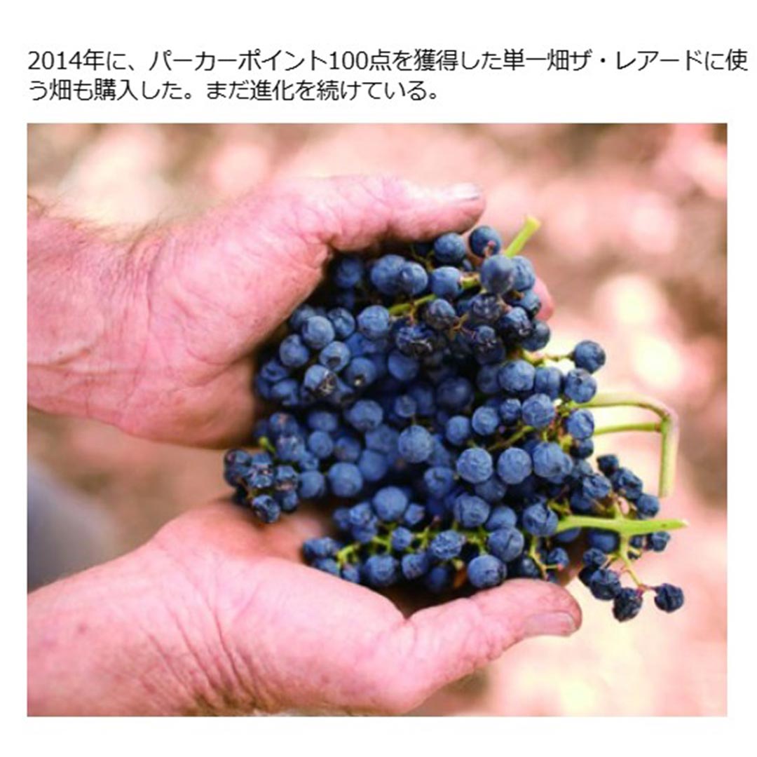 2023 ザ ストゥルイ 750ml トルブレック オーストラリア 赤ワイン コク