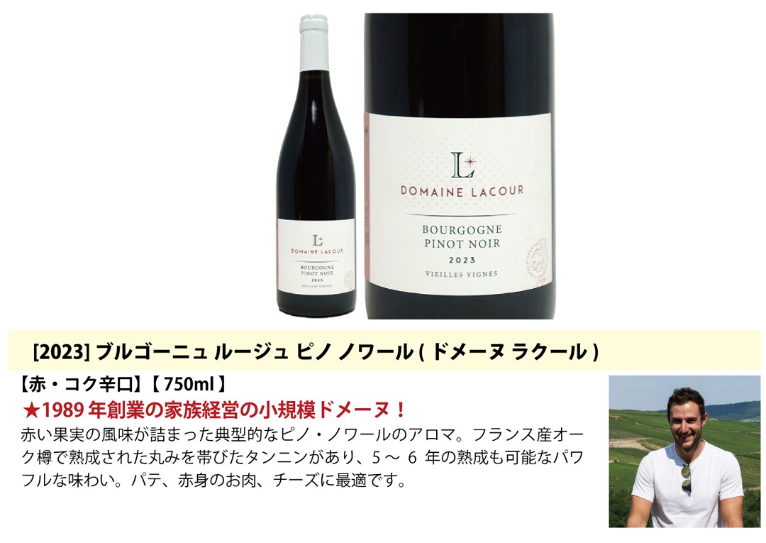 プレミアムセット 神わざ！作り手厳選ブルゴーニュ赤５本セット ワイン ワインセット 送料無料 大人気 飲み比べセット ギフト ^W0BL12SE^