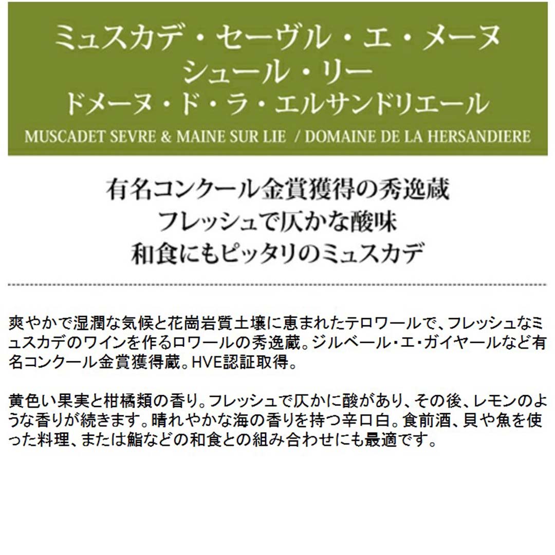 よりどり6本で送料無料 2024 ミュスカデ セーヴル エ メーヌ シュール リー 750ml ドメーヌ ド ラ エルサンドリエール ロワール フランス 白ワイン コク辛口 ワイン ^D0HDMC24^