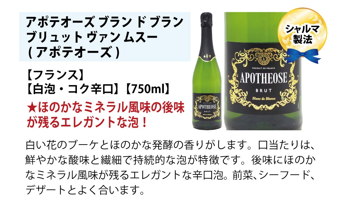ワイン ワインセット 本場フランス産の極上辛口スパークリングワイン6