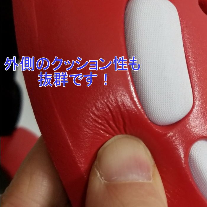 �����å�����������å��������䡼������ (AGGRESSOR EAR GUARD) [�֥롼]