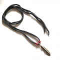 HALF DOLLAR FEATHER LEFT C-18L