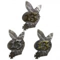 13 BUNNY PINS