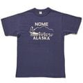 Lot 4601 NOME