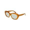 GREYHOUND color photochromic