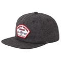 DYSON SNAPBACK