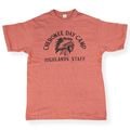 Lot 4601 CHEROKEE DAY CAMP