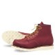 Irish Setter / 6" Moc-Toe STYLE NO.8875