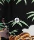 Lot No. SS39478 / SUN SURF SPECIAL EDITION ��SASA TORA��