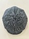 LOT1718��CLASSICAL CASQUETTE TYPE B