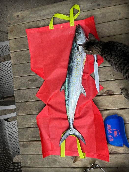 KEEP FISHIN FUN II Snaback