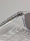 GROOVER WNAME EYEWEAR TYPE DOLL ��LOT1695