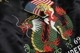 LONG RIDER SOUVENIR JACKET