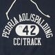 Lot 484 PEORIA