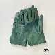 STANDARD HORSEHIDE LEATHER GLOVE LOT1680