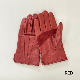 STANDARD HORSEHIDE LEATHER GLOVE LOT1680