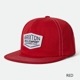 COLESON HP SNPK