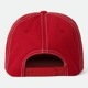 COLESON HP SNPK