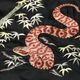 Lot No. TT15713-119 / Early 1950s Style Acetate Souvenir Jacket ��KOSHO & CO.�� Special Edition ��PIT VIPER�� �� ��EAGLE & SNAKE�� 