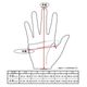 LAMP GLOVES -PUNCHING GLOVE-