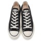 CANVAS ALL STAR J OX