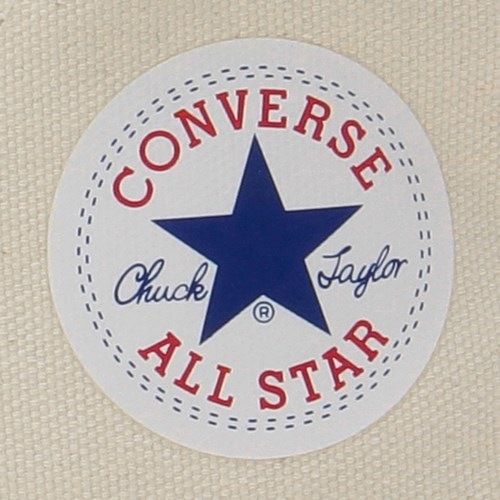 CANVAS ALL STAR J HI