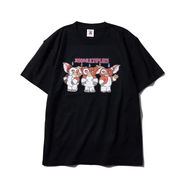 GIZMO-T