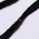 SILVER DOLLAR FEATHER LEFT C-20L