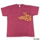 Lot 4064 SUNDEVILS