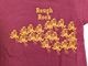 Lot 4064 SUNDEVILS