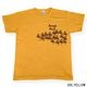 Lot 4064 SUNDEVILS