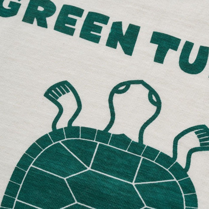 Lot 4601 GREEN TURTLE