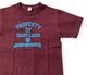 Lot 4601 GRATE LAKES