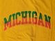 Lot No. WV79683 / WHITESVILLE 18/- S/S T-SHIRTS W/PRINT
