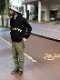 BAKER PANTS SLIM