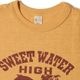Lot 4601 SWEET WATER