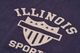 Lot 450 ILLINOIS
