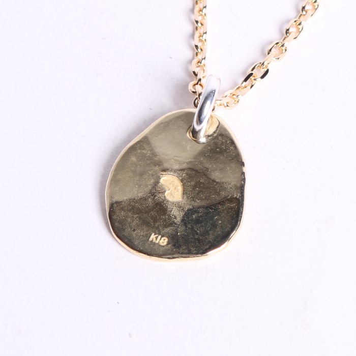 18K EAGLE POINT MEDAL PENDANT(SET)