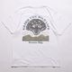 MERCY S/S STT