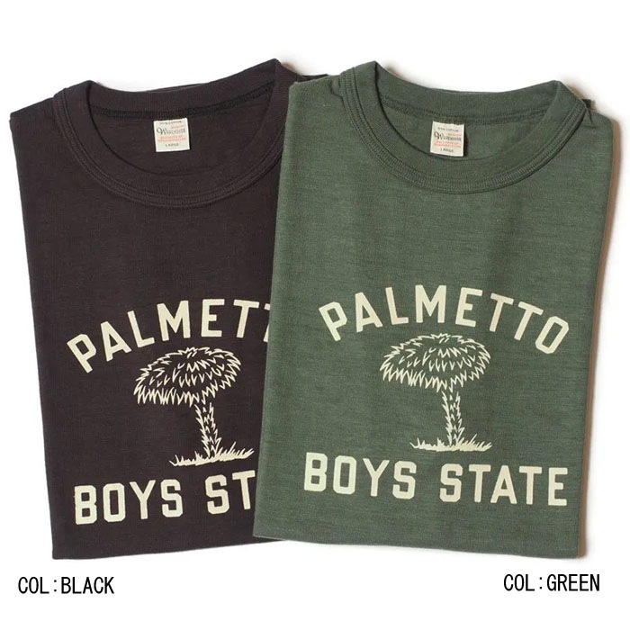 Lot 4601 PALMETTO