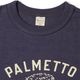 Lot 4601 PALMETTO