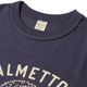 Lot 4601 PALMETTO