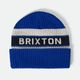 RAINIER STRIPED BEANIE