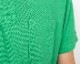 IZ POLO
