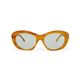 GREYHOUND color photochromic